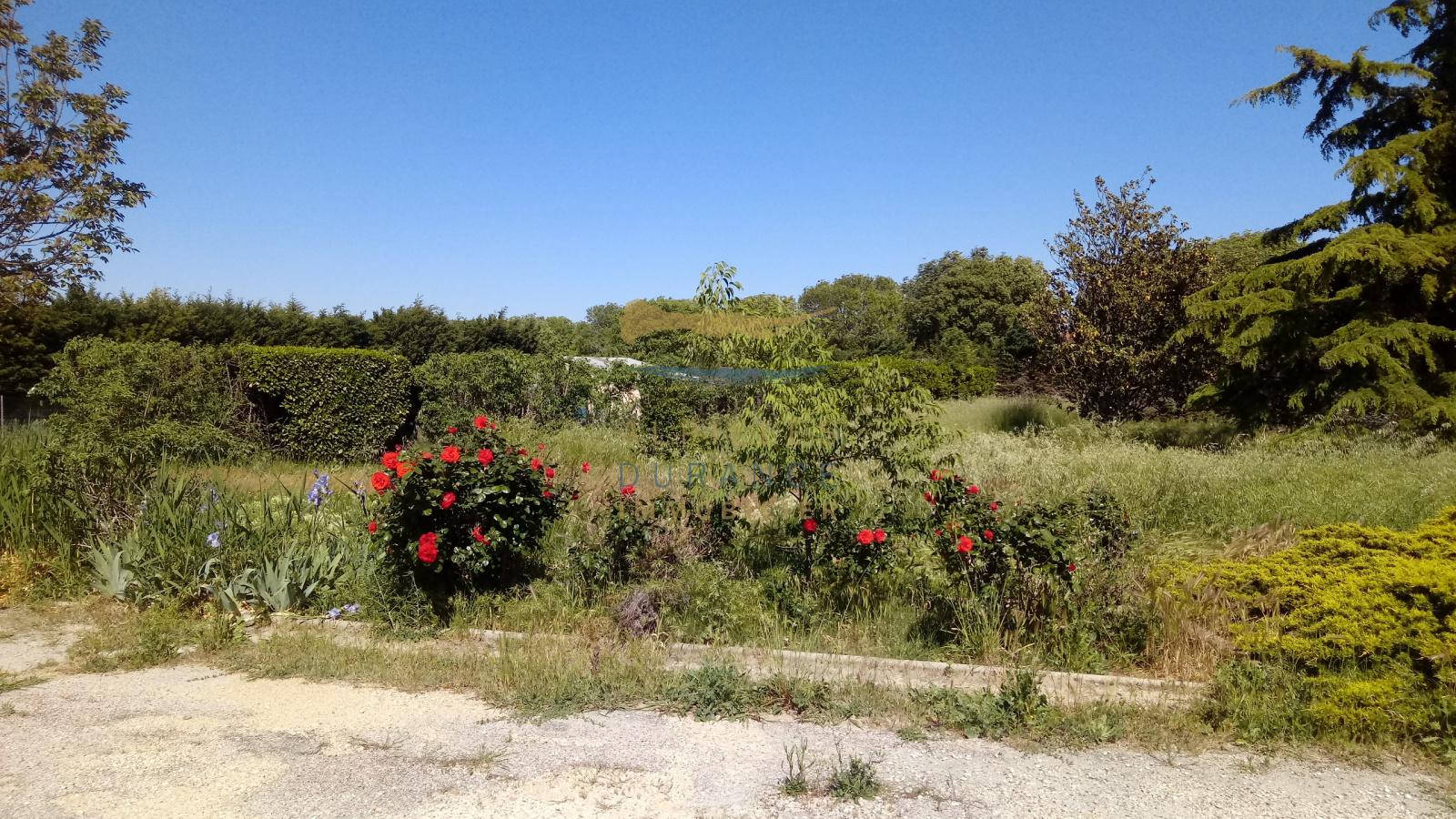 Image_, Villa, Eyragues, ref :7226